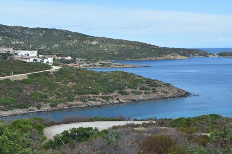 Asinara 2020 (38) (Sardegna)