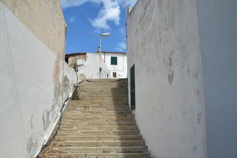 Asinara 2020 (39) (Sardegna)