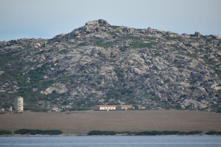 Cómo llegar a la Isla Asinara en Cerdeña