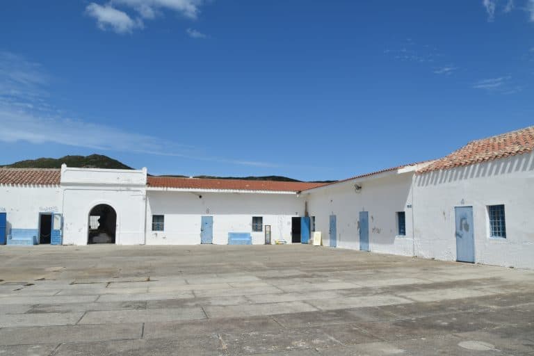 Asinara 2020 (41) (Sardegna)