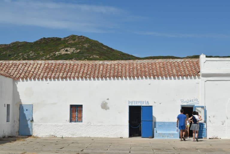 Asinara 2020 (44) (Sardegna)