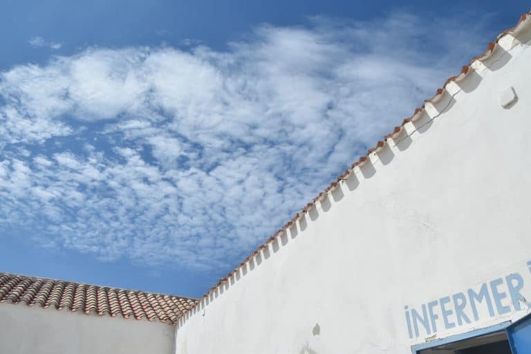Asinara 2020 (49) (Sardegna)