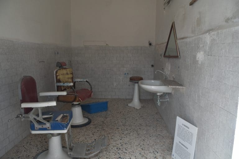 Asinara 2020 (50) (Sardegna)