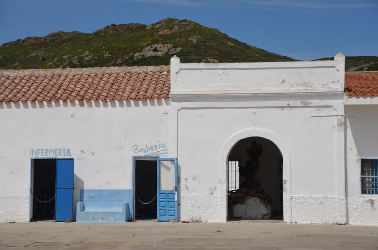Asinara 2020 (51) (Sardegna)