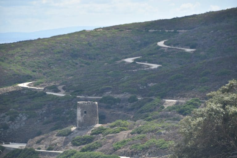 Asinara 2020 (55) (Sardegna)