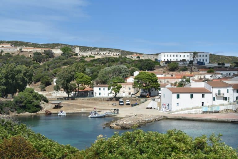 Asinara 2020 (57) (Sardegna)