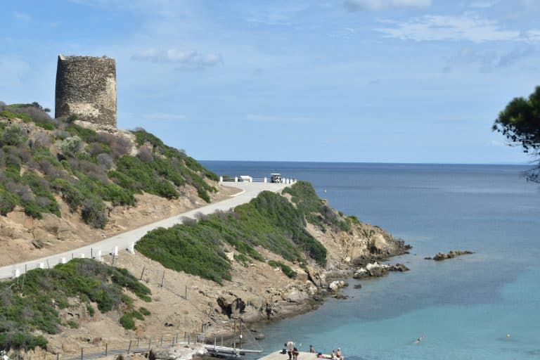 Asinara 2020 (58) (Sardegna)