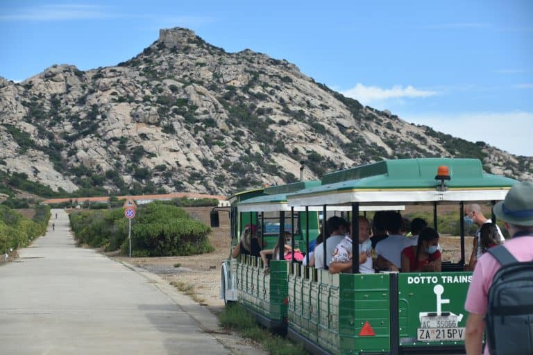 Asinara 2020 (6) (Sardegna)