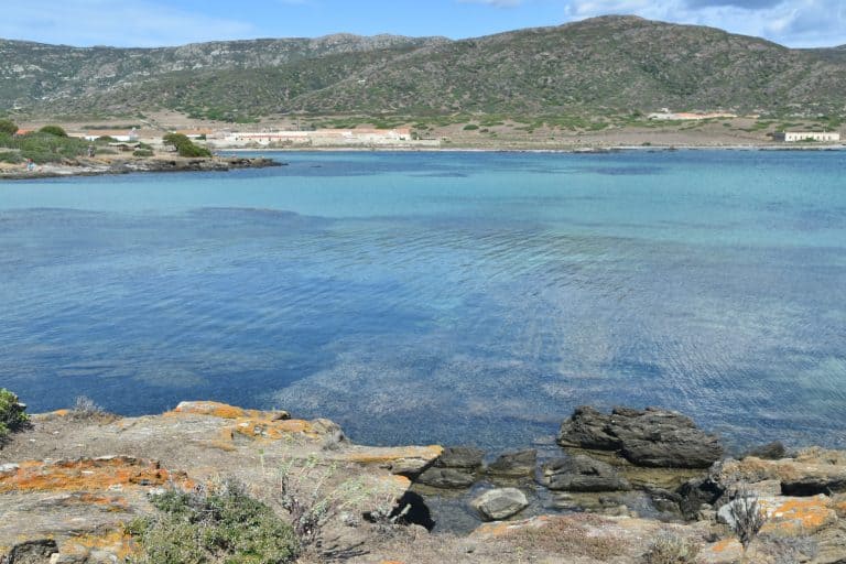 Asinara 2020 (60) (Sardegna)
