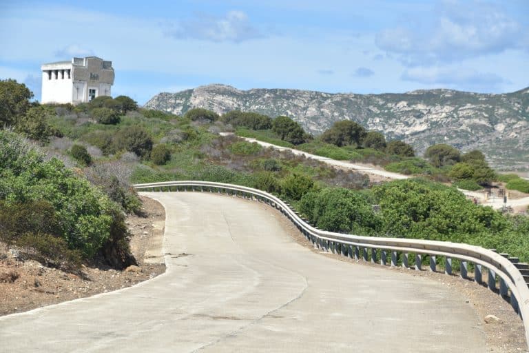 Asinara 2020 (61) (Sardegna)