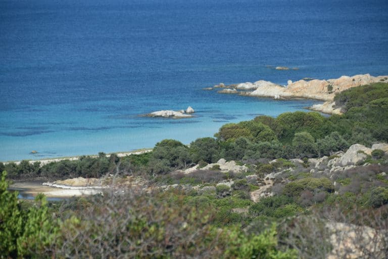 Asinara 2020 (69) (Sardegna)
