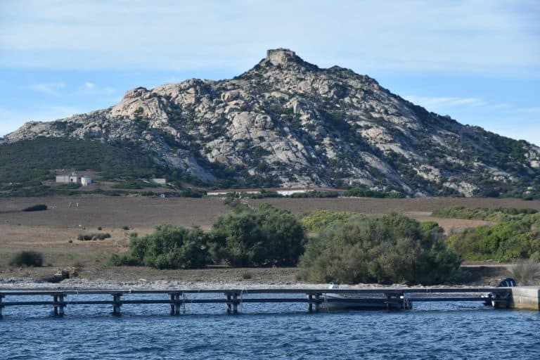 Asinara 2020 (72) (Sardegna)