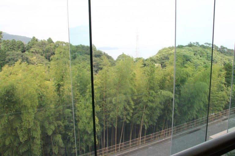 Japan, Atami – bamboo forest, Aug.2014 (Izu)