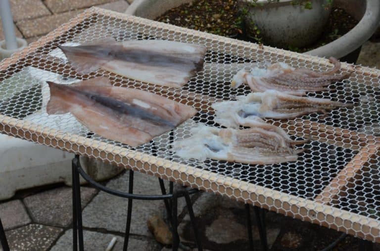 Japan, Atami – dry, Aug.2014 (Izu)
