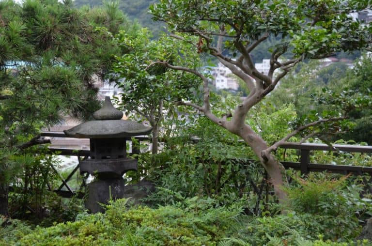 日本、熱海－庭 2014年8月 (伊豆)