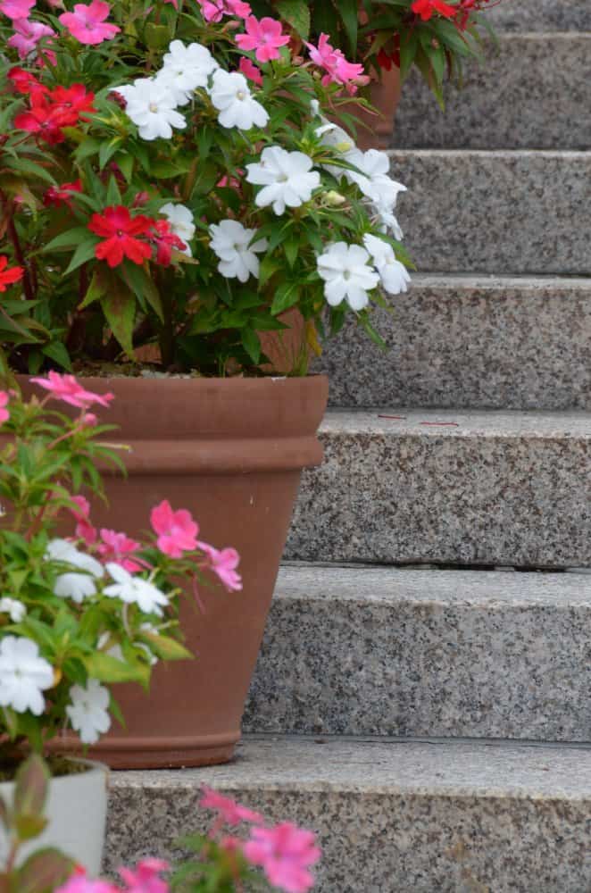 Japan, Atami – flowers and stairs, Aug.2014 (Izu)