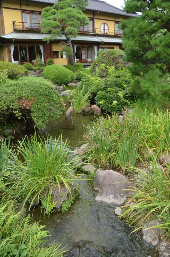 日本、熱海－庭の池 2014年8月 (伊豆)