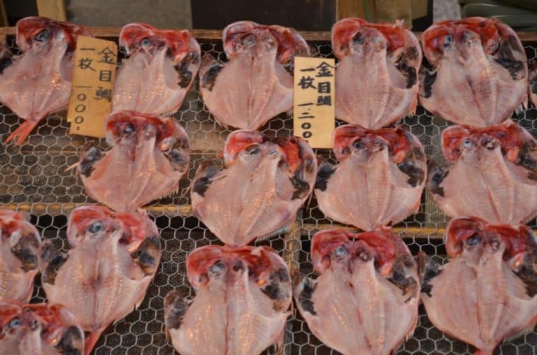 日本、熱海－干物2014年8月 (伊豆)