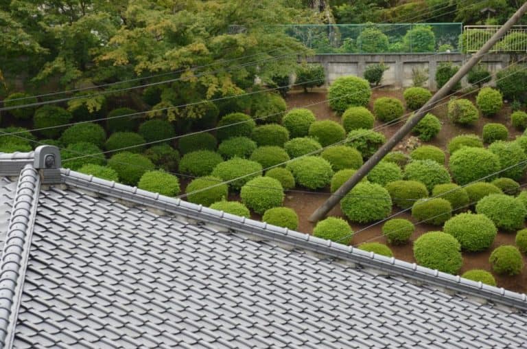 日本、熱海－植木 2014年8月 (伊豆)