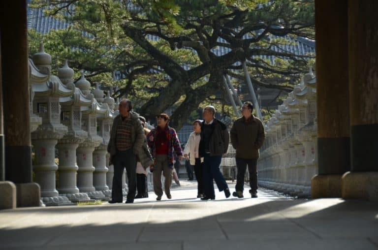 Japan, Awa Kominato – visitors, Dec.2014