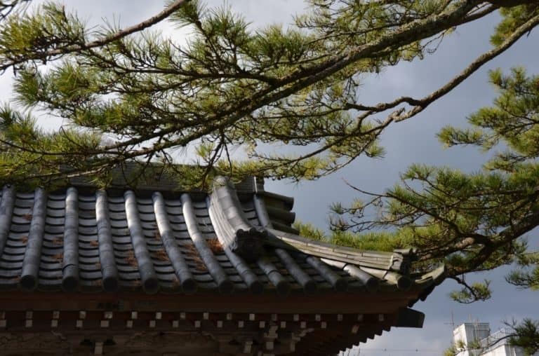 Japan, Awa Kominato – roof, Dec.2014