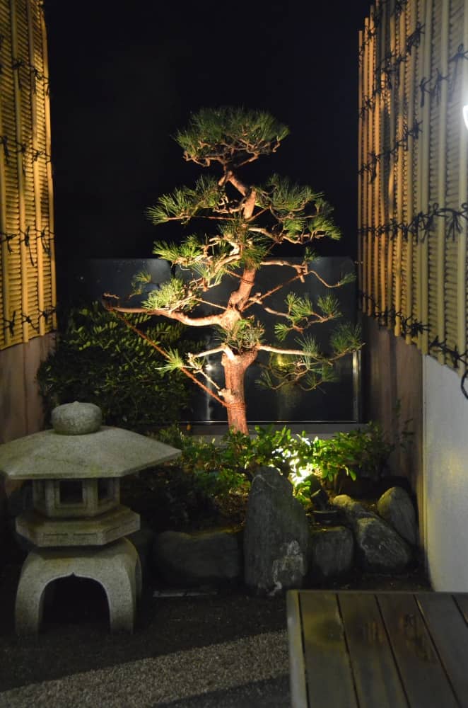 Japan, Awa Kominato – garden, Dec.2014