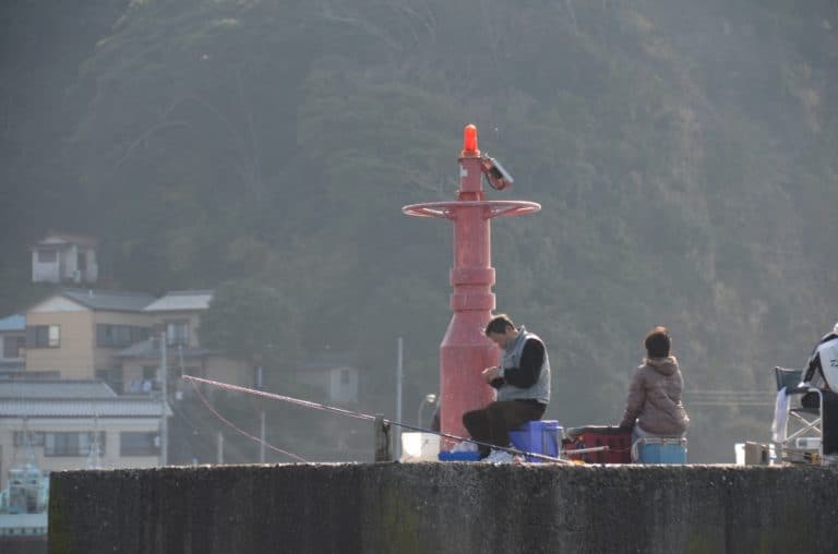 Japan, Awa Kominato – waiting for fish, Dec.2014