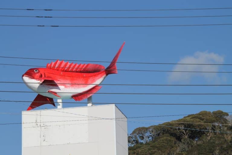 Giappone, Awa Kominato – pesce in cielo, gen. 2015