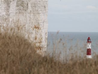 Inghilterra, Beachy Head – scogliera bianca, lug. 2014