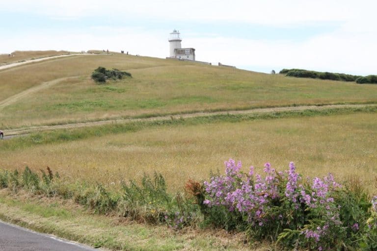 England, Beachy Head – lighthouse and flowers, July, 2014 (Eastbourne)