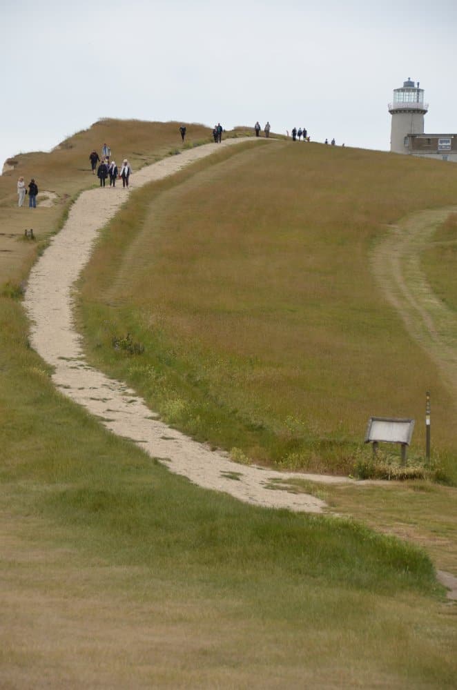 England, Beachy Head – slope, July, 2014 (Eastbourne)