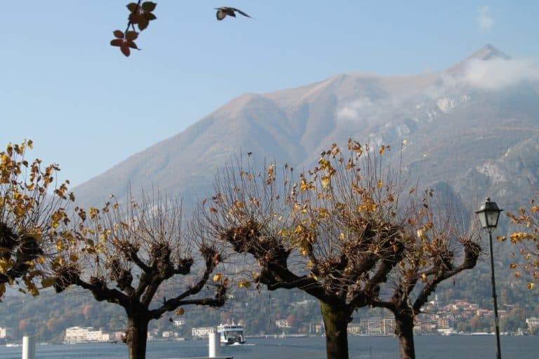  (Lombardia)