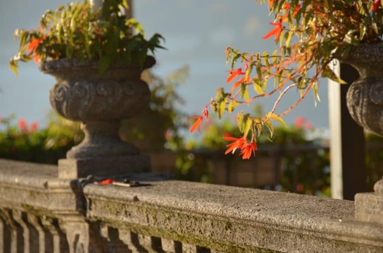 Bellagio – recinzione di pietra, Nov.2015 (Lombardia)