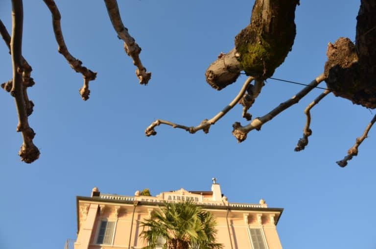 Bellagio – guardando in alto, Nov.2015 (Lombardia)