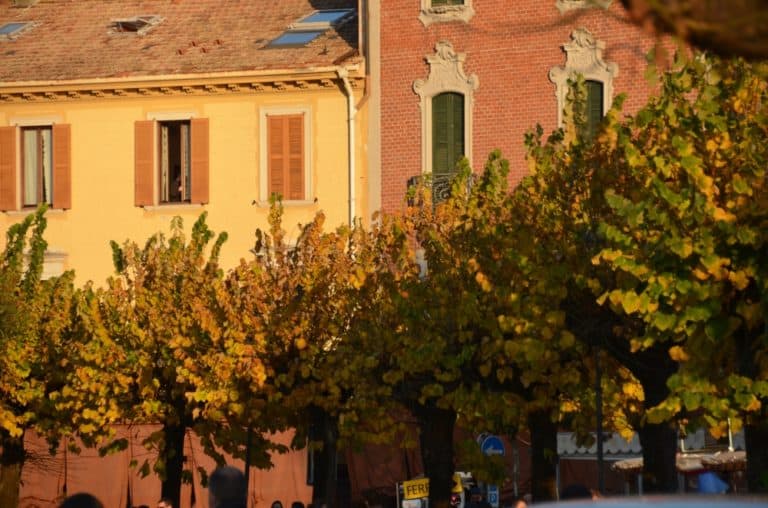 Bellagio – alberi e case, Nov.2015 (Lombardia)