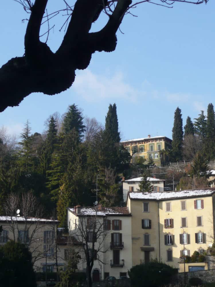 Italia, Bergamo – albero e case, 2010 (Lombardia)