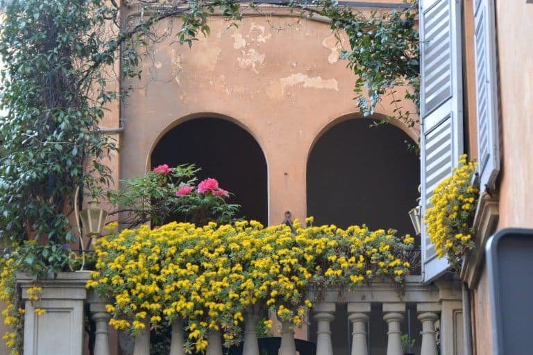 Bergamo – house with flowers, Apr.2018 (Lombardia)