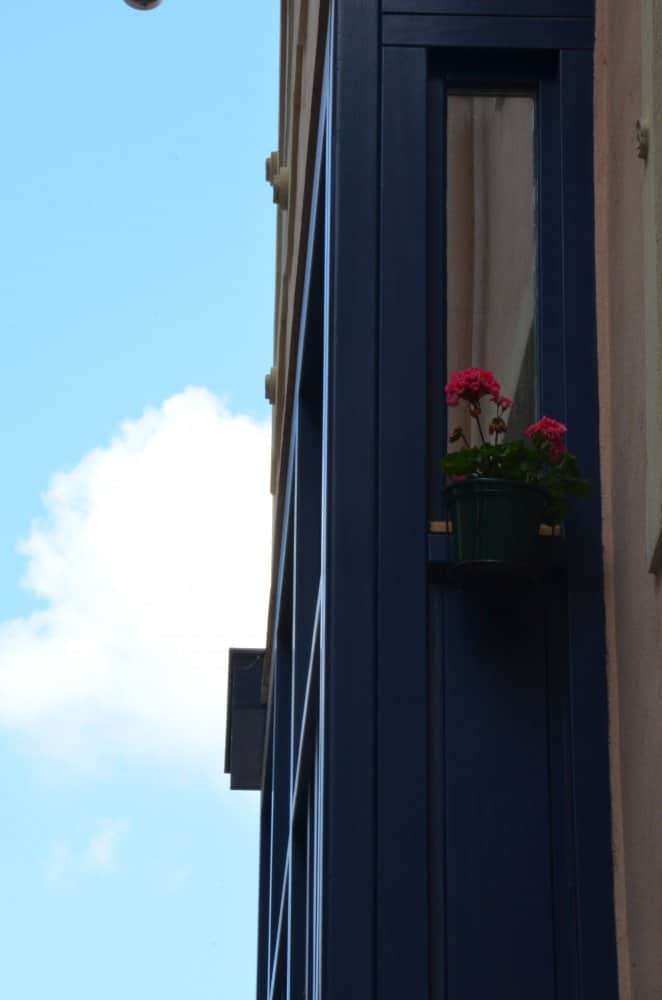 Spain, Bermeo – flower up there, May 2014 (Bermeo)