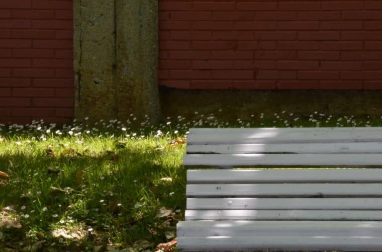 Spagna, Bermeo – panchina e fiori, mag. 2014 (Bermeo)
