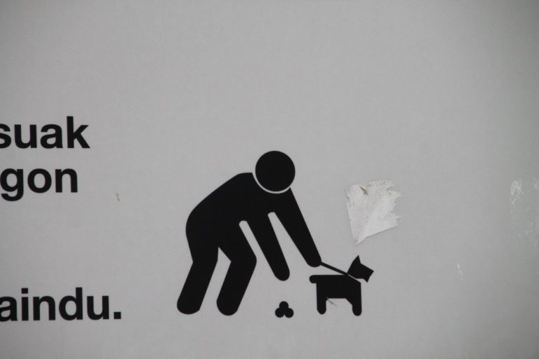 Spain, Bermeo – no dog dirt, May 2014 (Bermeo)
