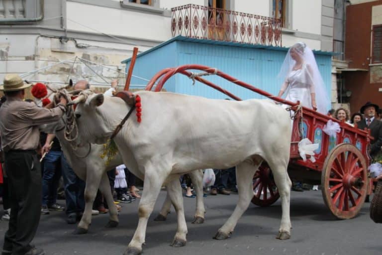 Old-time wedding