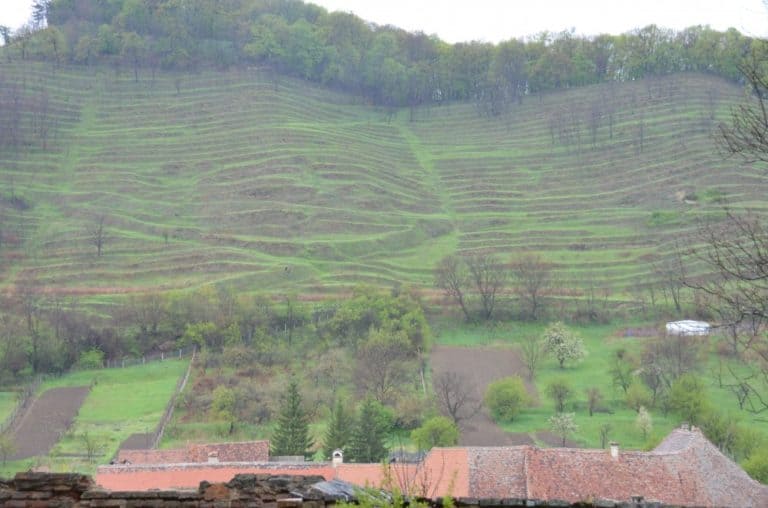Romania, Biertan – view, Apr. 2014 (Sighisoara)