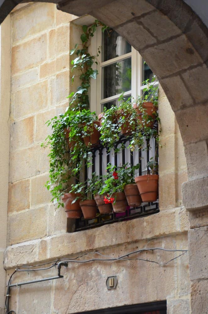スペイン、ビルバオ－植物のある窓 2014年5月 (ビルバオ)