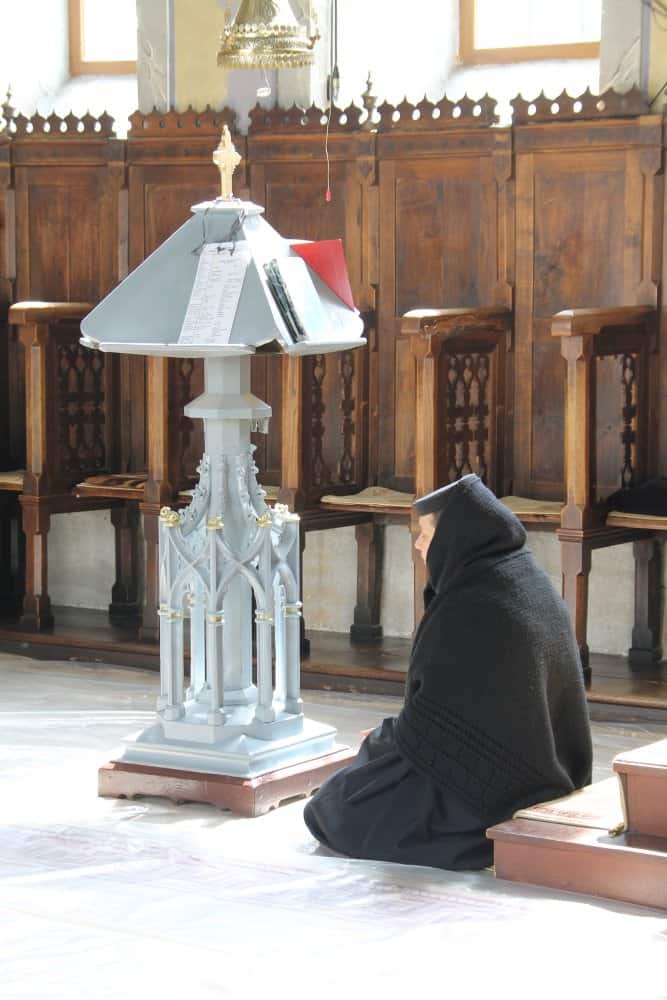Romania, Bistrita – pray, Apr. 2014 (Valcea)