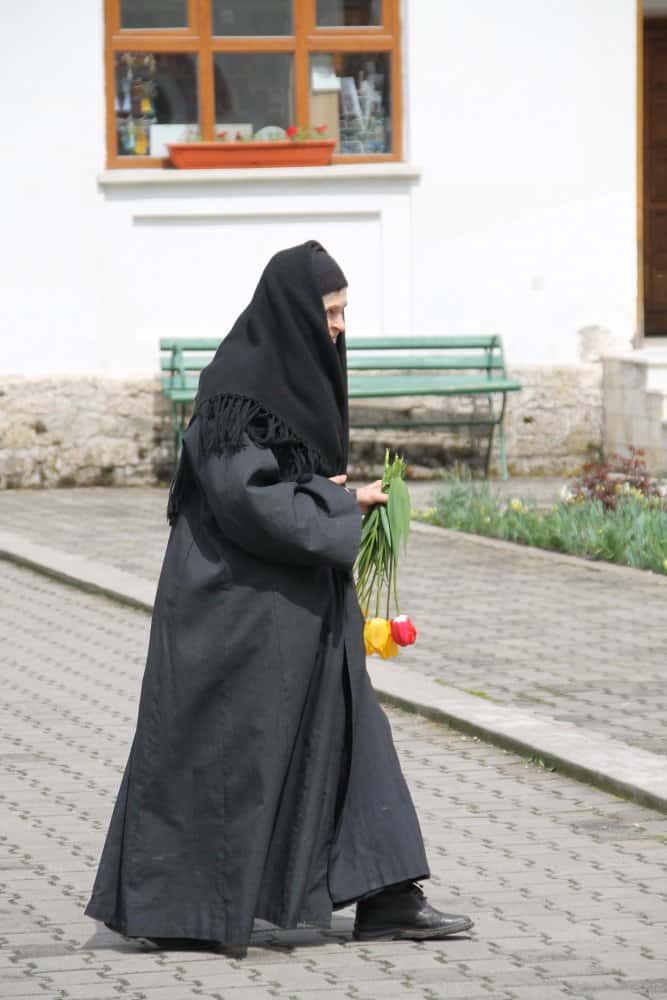 Romania, Bistrita – walking with flowers, Apr. 2014 (Valcea)