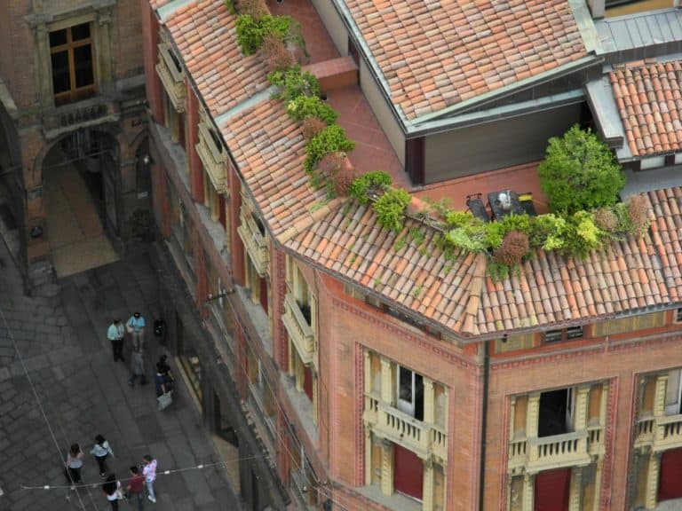 town – rooftop garden, June 2015 (Emilia-Romaña)