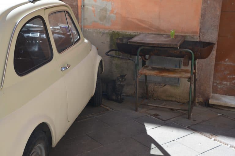 Bosa 2020 (11) (Sardegna)