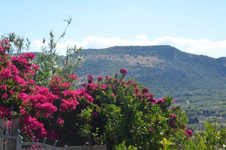 Bosa 2020 (16) (Sardegna)