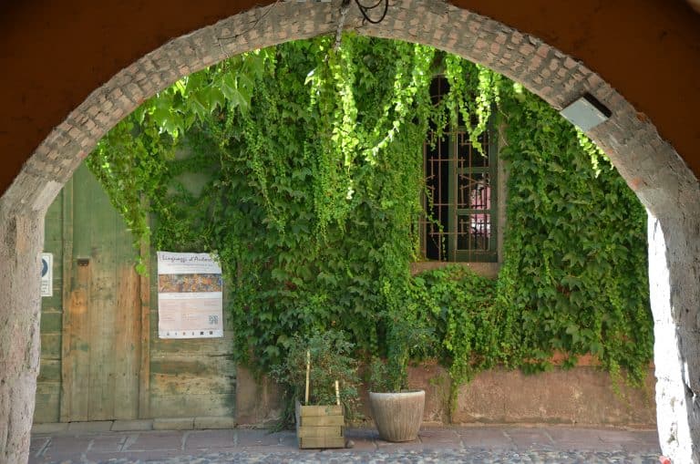 Bosa 2020 (45) (Sardegna)