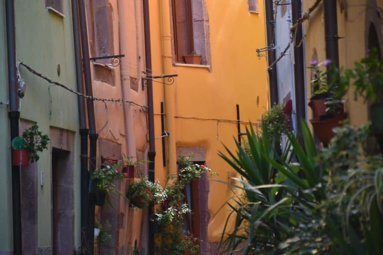 Bosa 2020 (55) (Sardegna)